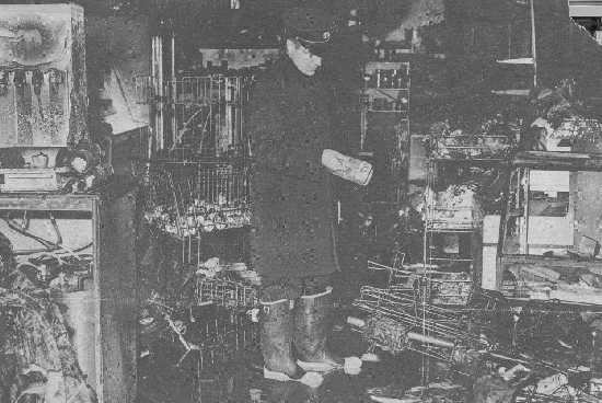 click the picture # below to see full sized image