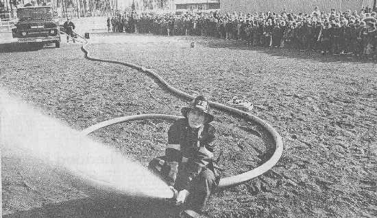 click the picture # below to see full sized image