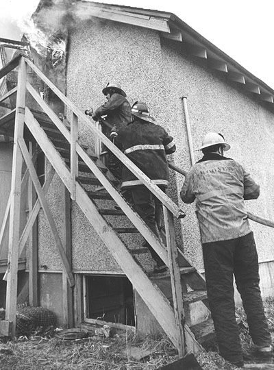 click the picture # below to see full sized image