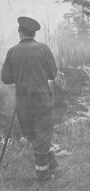 click the picture # below to see full sized image