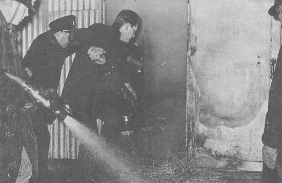 click the picture # below to see full sized image