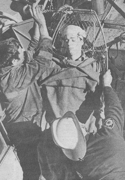 click the picture # below to see full sized image