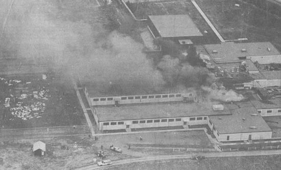 click the picture # below to see full sized image