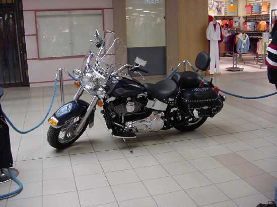 click the picture # below to see full sized image