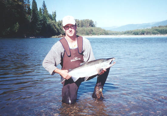 click the picture # below to see full sized image