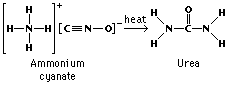 Synthesis of urea from the inorganic compound Ammonium cyanate