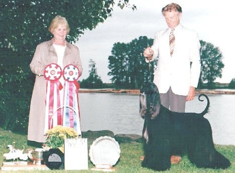 Afghan Hound 1994 BIS Ch.Spectrum's Ritz of Elphinstone
