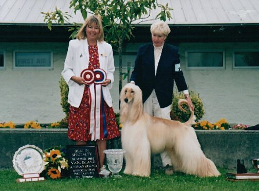 BISS CAN.AM. CH. DHIVIA JENFIELD DESERT WARRIOR