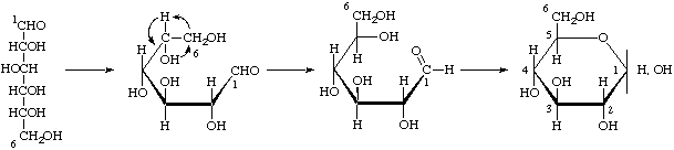 Proceso de formacin de un anillo en la glucosa