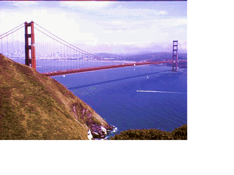 San Francisco's famous bridge
