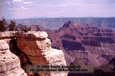 Scene of the Grand Canyon