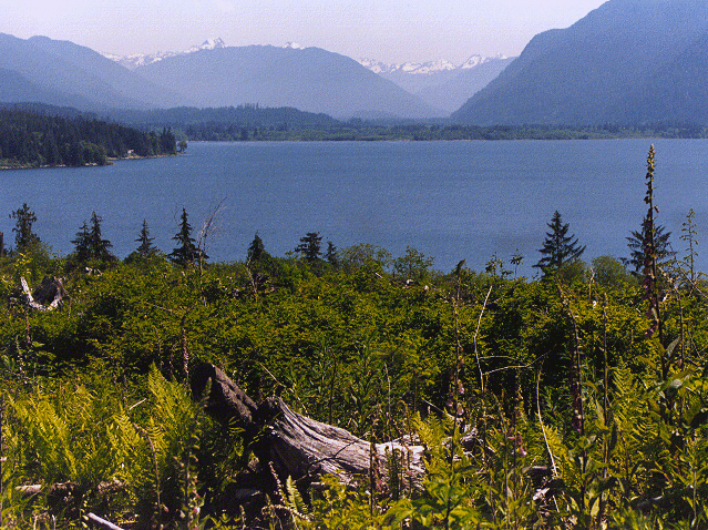 Gorgeous view of a lake
