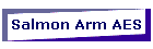 Salmon Arm AES