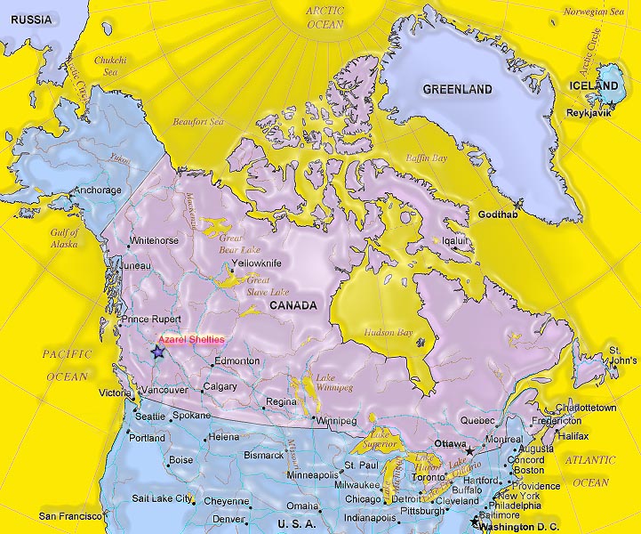 Location Azarel Shelties