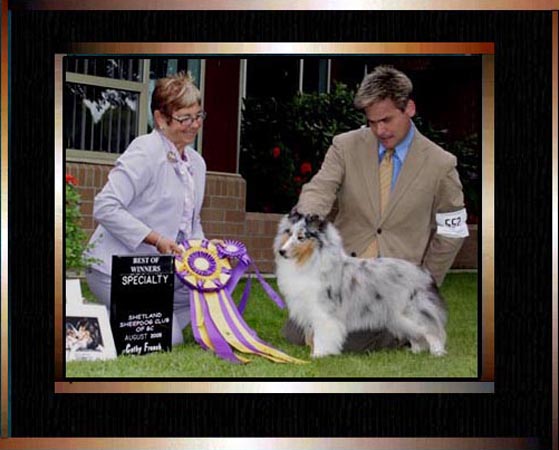 Canadian Champion Protege-Kismet Azurette O'Cherden