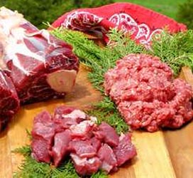 Raw Meaty Bones for Dogs