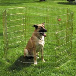 Exercise pens, x-pens, for dogs