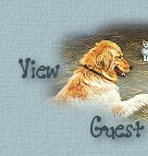 See What Others Think