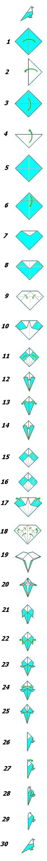 Basi Airplace Diagram