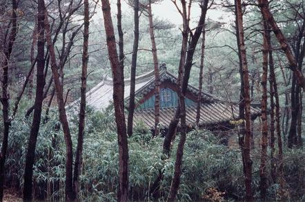 GungRakSa temple, on the outskirts of Busan, found while "lost".