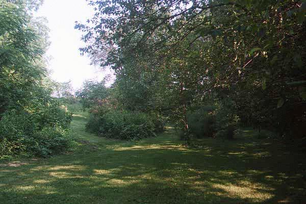 Back grounds and walking paths.......