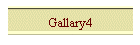 Gallary4