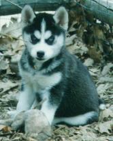 Black and white female