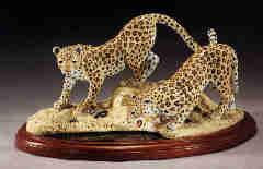 LEOPARDS