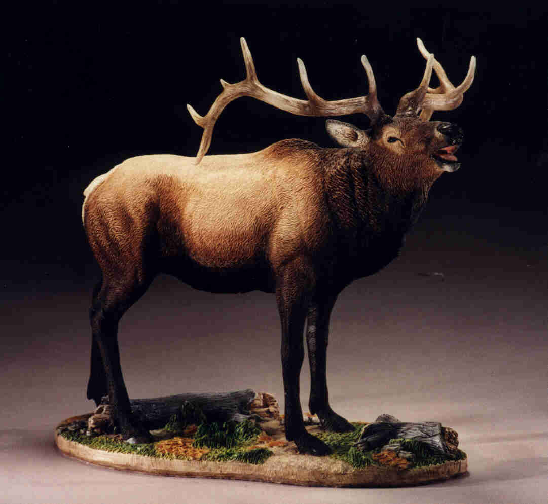 ELK