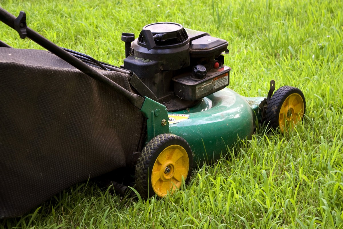 Tips for over seeding a lawn
