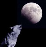 howlin.gif (9022 bytes)