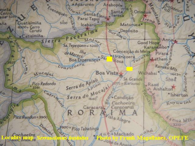 Map of Locality S. hastatus,