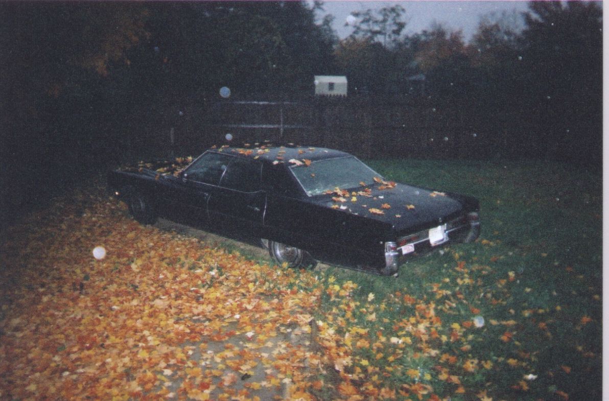 What else can I say other than "My Precious!"