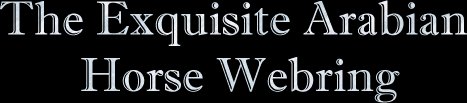 The Exquisite Arabian 
Horse Webring graphic