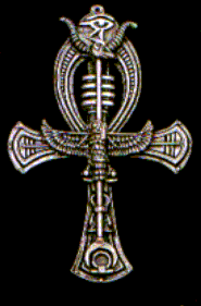 Wear your loyalty for everyone to see!