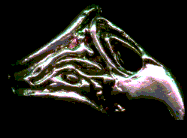 The falcon skull ring, Product code FV-582, costs 19 dollars.