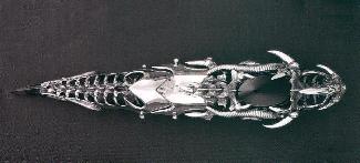 The sterling silver and black onyx armor ring 