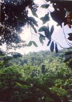 a look back along the trail