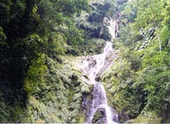 RAPELLING ON RINCON FALLS