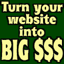 Turn YOUR Web Site into BIG $$$ !