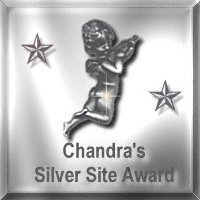 Silver Site Award