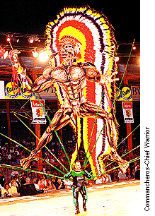 a carnival costume