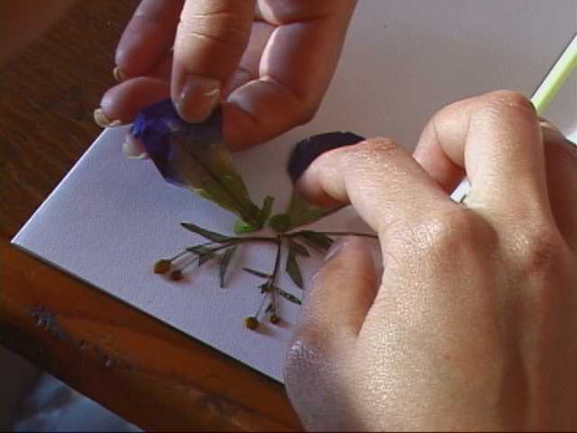 paste flower in card