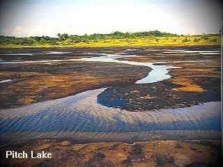 The Pitch Lake