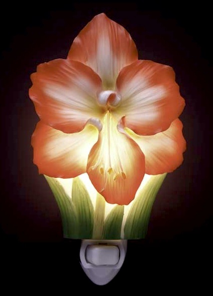 Amaryllis Night Light