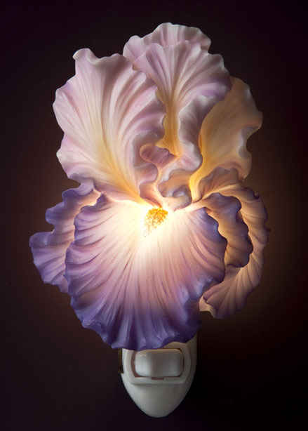 Purple Bearded Iris Night Light