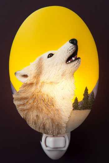 Wolf Howling at the Moon Night Light