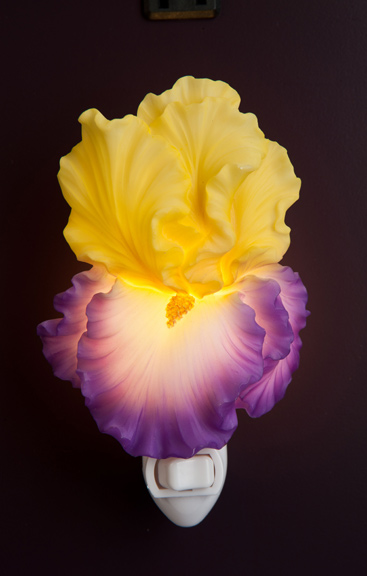 Yellow Crown Iris Night Light
