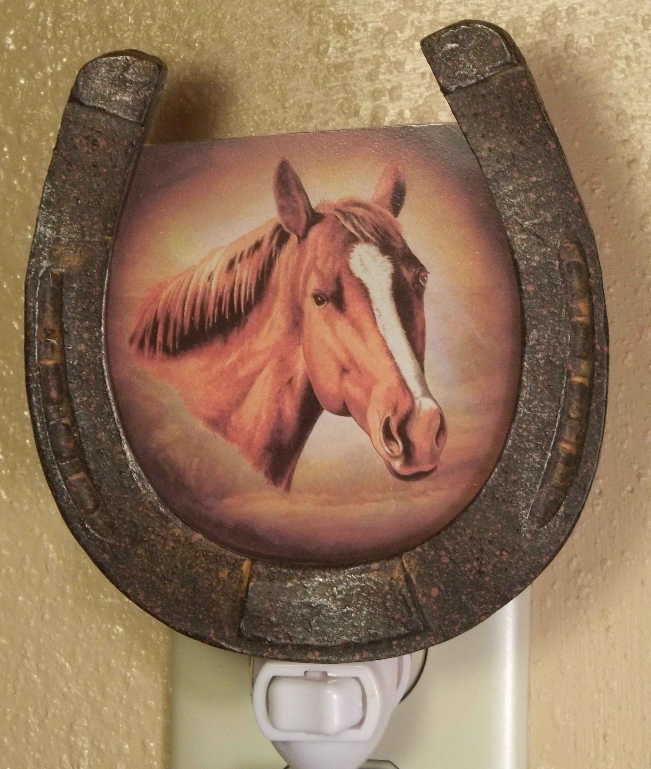 Horse Shoe Night Light