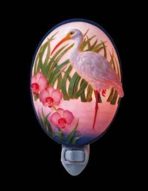 Egret - Ibis and Orchids Night Light>
			
			<BR>
			
Egret<br>Ibis and Orchids Night Light<br>
NOT Stained Glass</a>
			
			</FONT>
			</TD>

			</TD>

</tr>
</table>
	
<TABLE CELLSPACING=